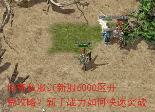 ˽sf·6000Ĺԣսοͻ