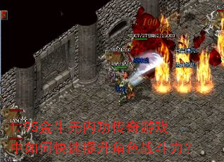 1.95金牛无内功传奇游戏中如何快速提升角色战斗力? 1.95金牛无内功传奇游戏中如何快速提升角色战斗力?