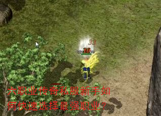 六职业传奇私服新手如何快速选择最强职业? 六职业传奇私服新手如何快速选择最强职业?