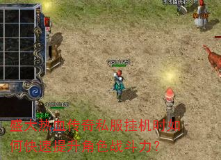 盛大热血传奇私服挂机时如何快速提升角色战斗力? 盛大热血传奇私服挂机时如何快速提升角色战斗力?
