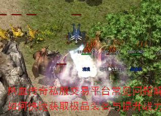 Ѫ˽ƽ̨οٻȡƷװս