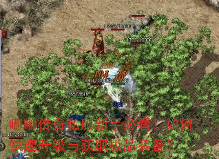 嘟嘟传奇私服新手必看!如何快速升级与获取极品装备? 嘟嘟传奇私服新手必看!如何快速升级与获取极品装备?