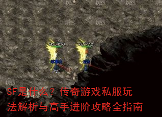 SFʲôϷ˽淨ֽ׹ȫָ