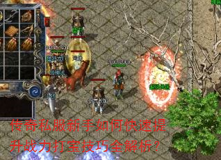 传奇私服新手如何快速提升战力打宝技巧全解析? 传奇私服新手如何快速提升战力打宝技巧全解析?