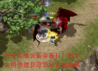 传奇私服装备全靠打?新手如何快速获取顶级装备攻略 传奇私服装备全靠打?新手如何快速获取顶级装备攻略