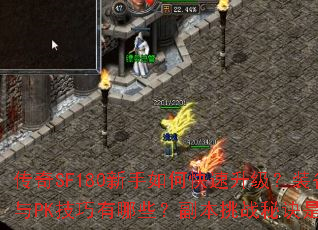传奇SF180新手如何快速升级?装备获取与PK技巧有哪些?副本挑战秘诀是什么? 传奇SF180新手如何快速升级?装备获取与PK技巧有哪些?副本挑战秘诀是什么?