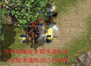 传奇破解版如何快速升级?全版本通用技巧大解析 传奇破解版如何快速升级?全版本通用技巧大解析